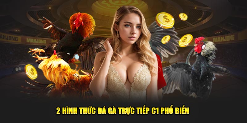 Hình thức đá gà trực tiếp C1 