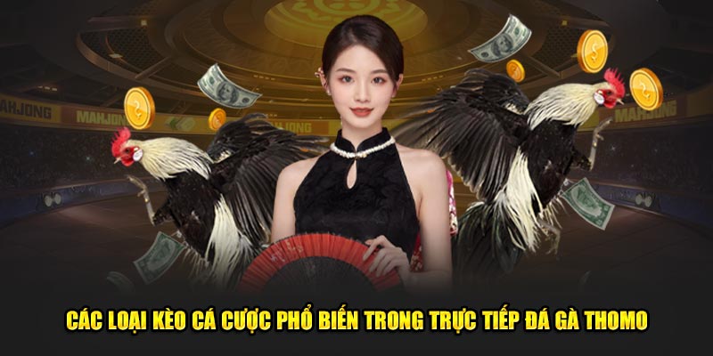 Các loại kèo cá cược phổ biến trong trực tiếp đá gà Thomo