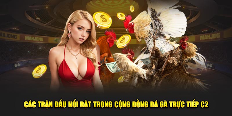 Các trận đấu nổi bật trong cộng đồng đá gà trực tiếp C2