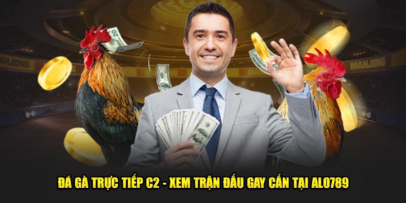 Đá Gà Trực Tiếp C2 - Xem Trận Đấu Gay Cấn Tại Alo789