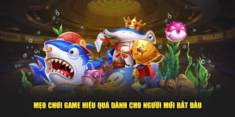 Mẹo chơi game hiệu quả dành cho người mới bắt đầu