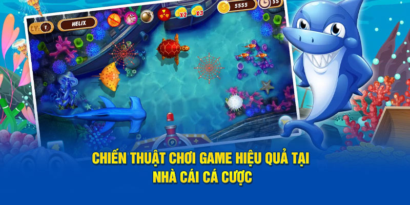 Chiến thuật chơi game hiệu quả tại nhà cái cá cược