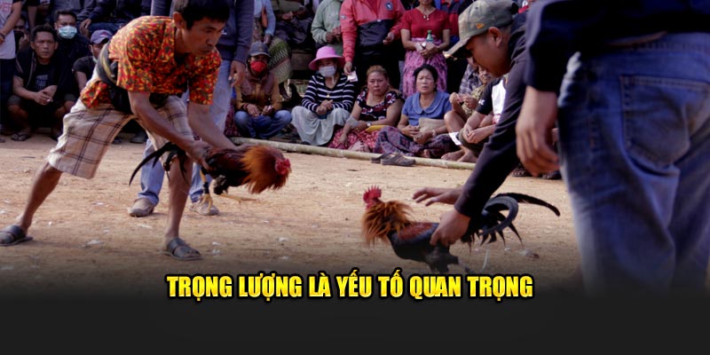 Trọng lượng là yếu tố quan trọng 